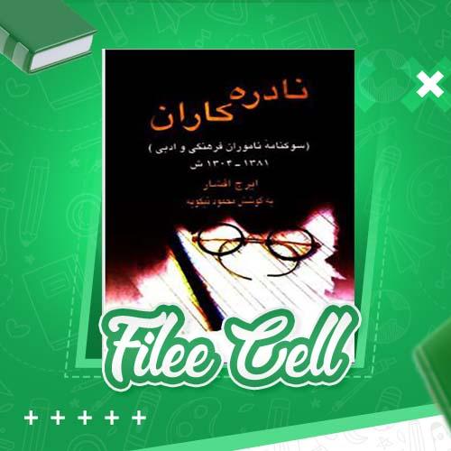 دانلود کتاب نادره کاران: سوگنامه ناموران فرهنگی و ادبی ایرج افشار (PDF) 1114 صفحه